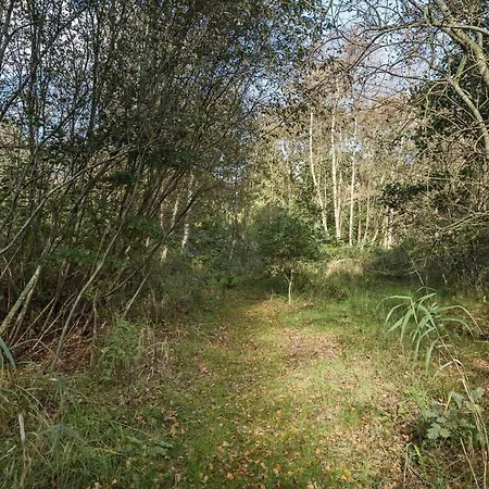 10378-ulfborg-vester-mosevej-58 Øby